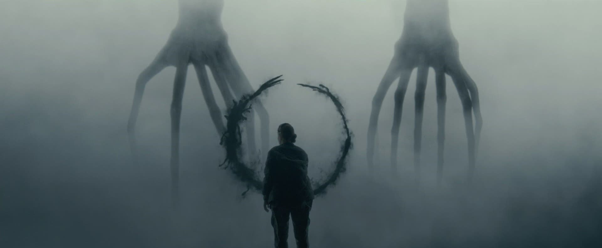 Arrival's Louise Banks looking at the Heptapods through a screen of fog