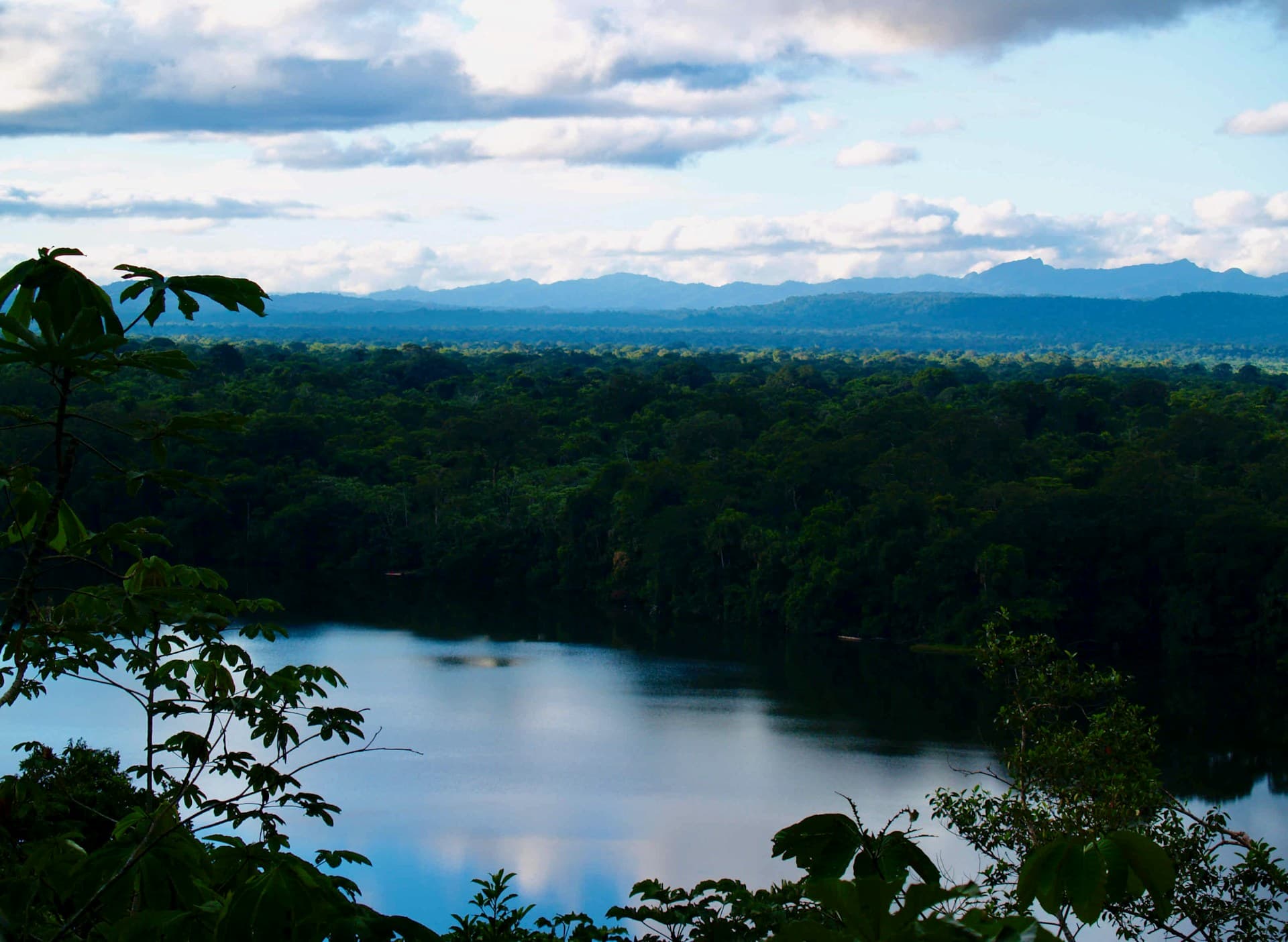 View across Chalalan Lake in the Amazon rainforest